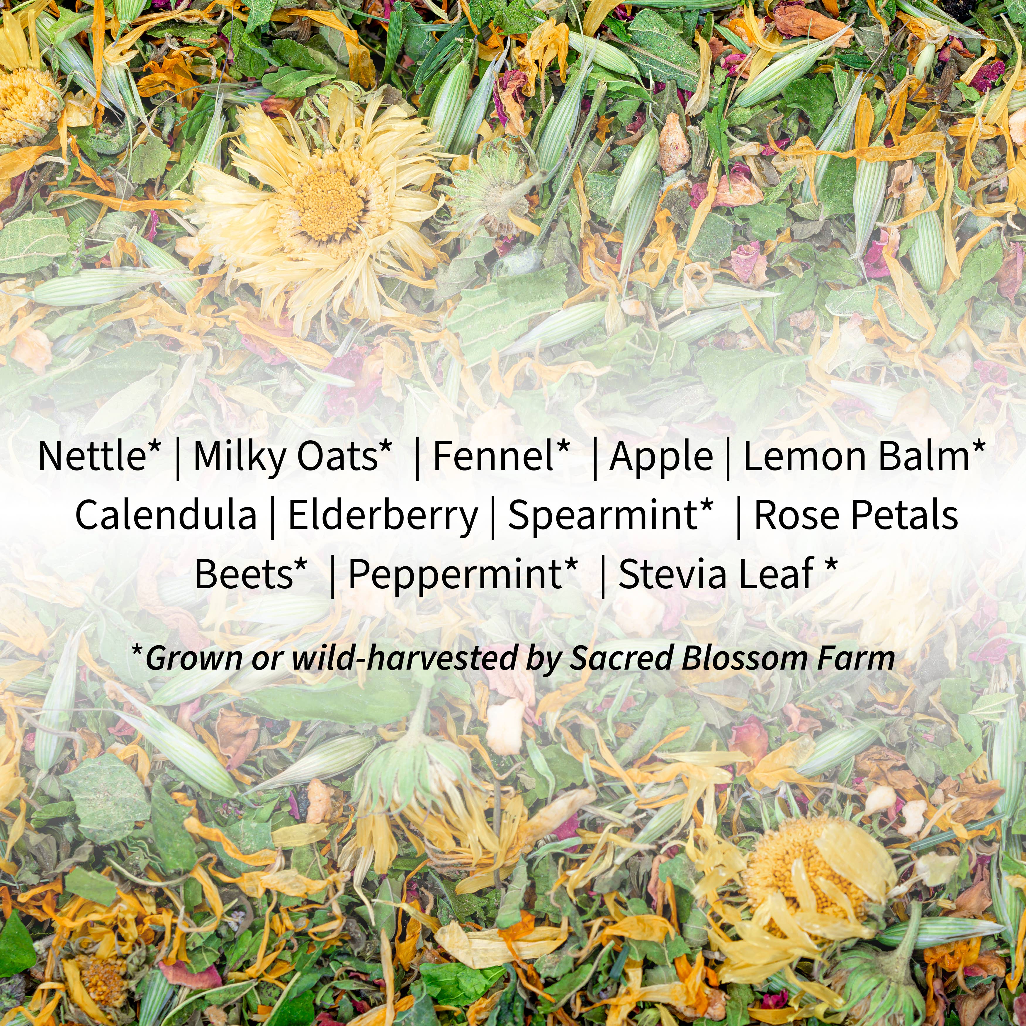 Sacred Blossom Farm - Wholesale Health/Detox Tea - Angel Herbal Tea4