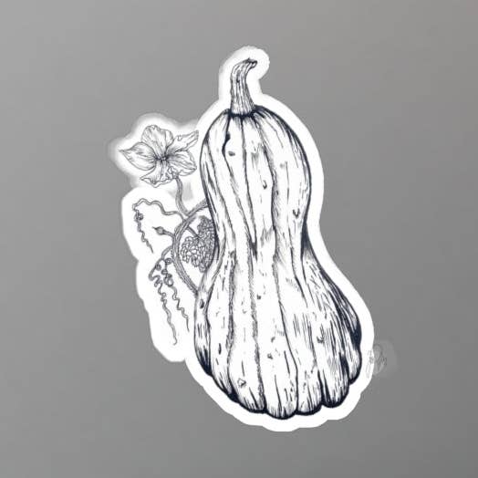 Cucurbita moschata for wholesale by Jordan Pugh Art