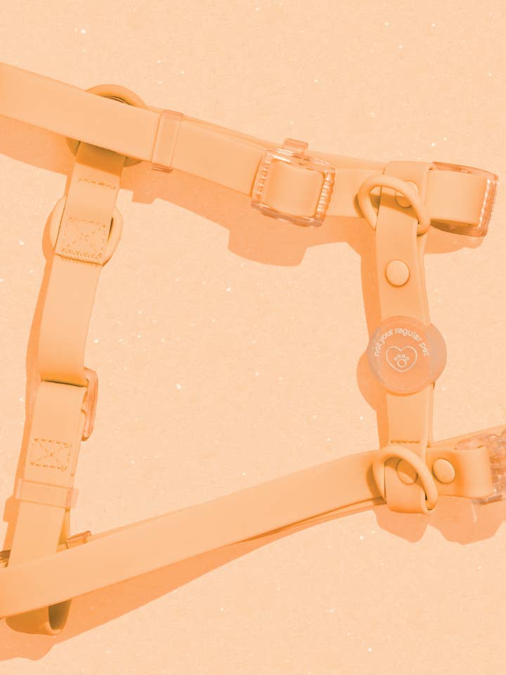 Arnés impermeable Tangerine H-Strap para venta al por mayor de Not Your Regular Pet