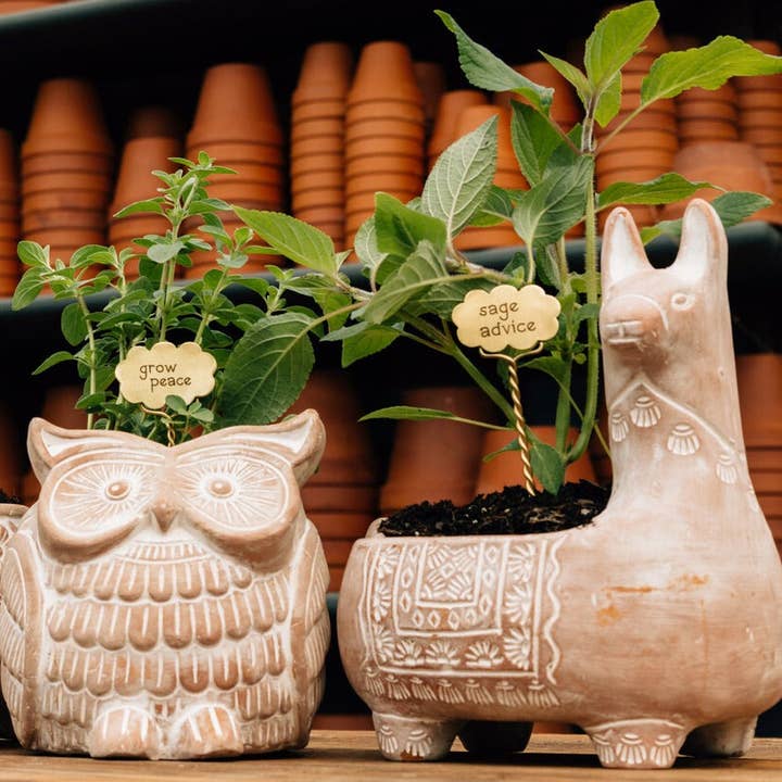Ten Thousand Villages - Wholesale Plant Pot - Llama Terracotta Planter