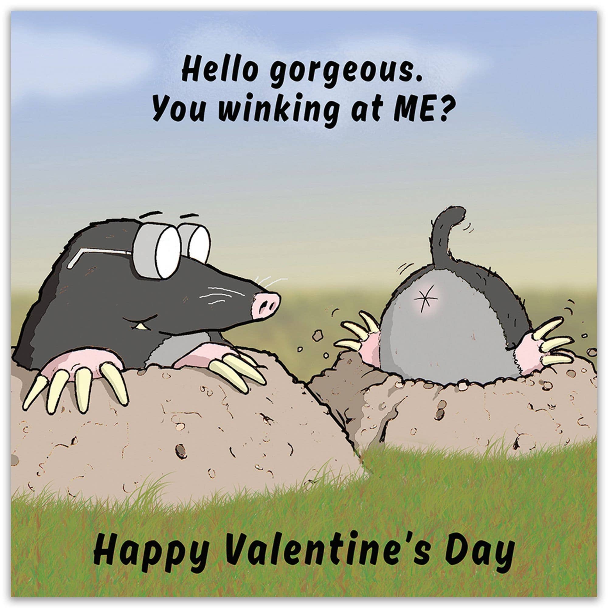 Twizler Ltd – wholesale Valentine's Day card – Winking At Me Funny Valentines Day Card1