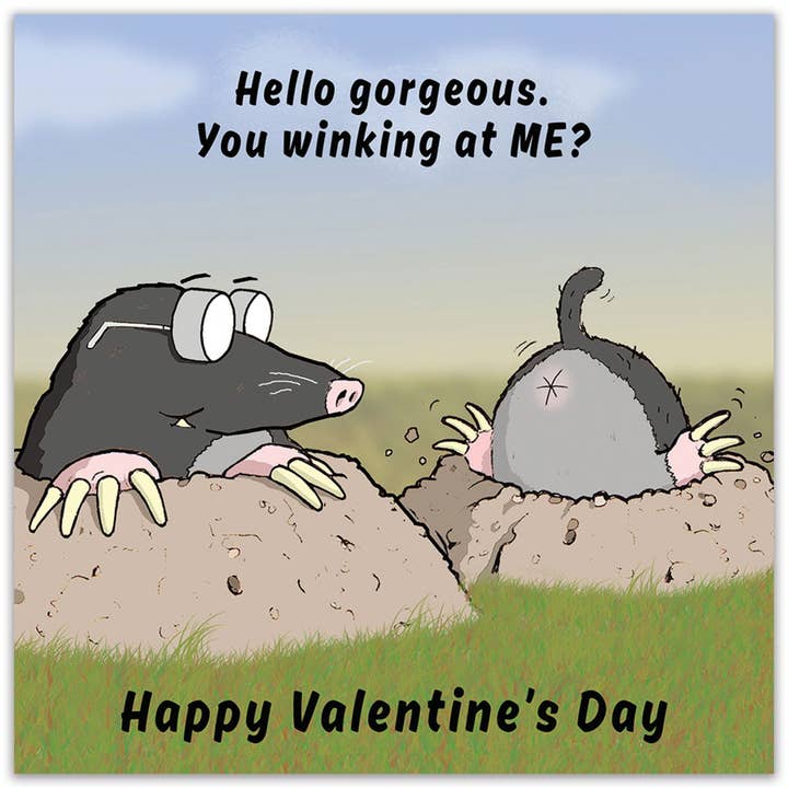 Twizler Ltd – wholesale Valentine's Day card – Winking At Me Funny Valentines Day Card1