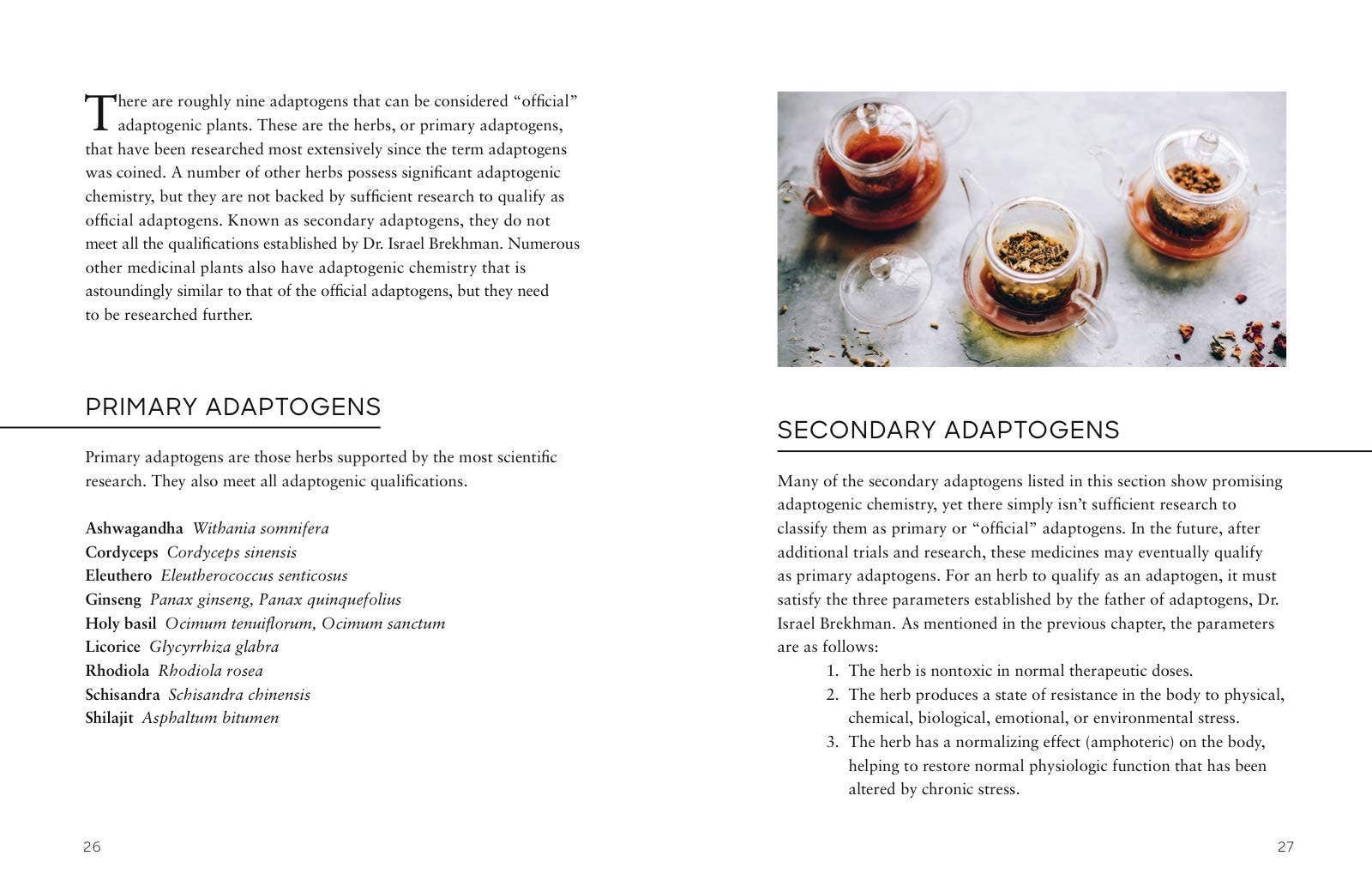 Hachette Book Group - Wholesale Medical Health - Adaptogens by Adriana Ayales4