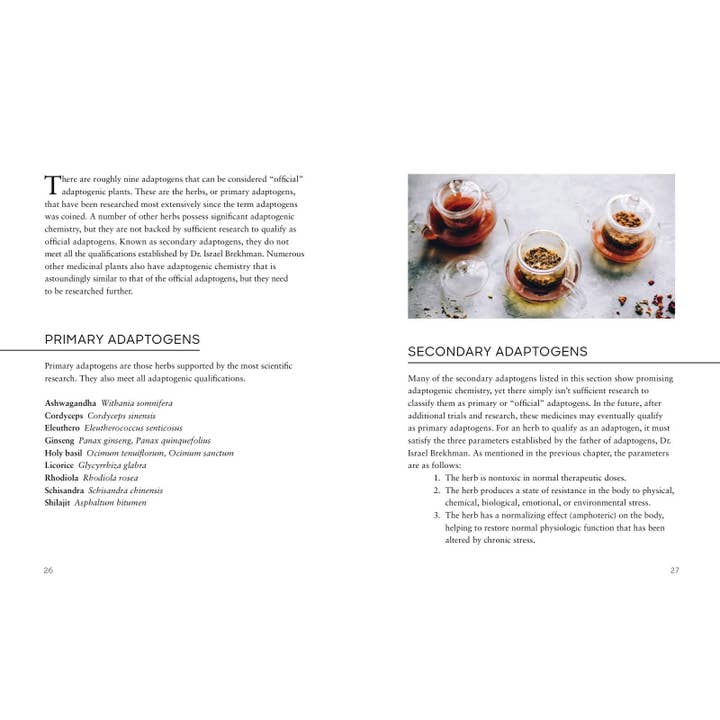 Hachette Book Group - Wholesale Medical Health - Adaptogens by Adriana Ayales4