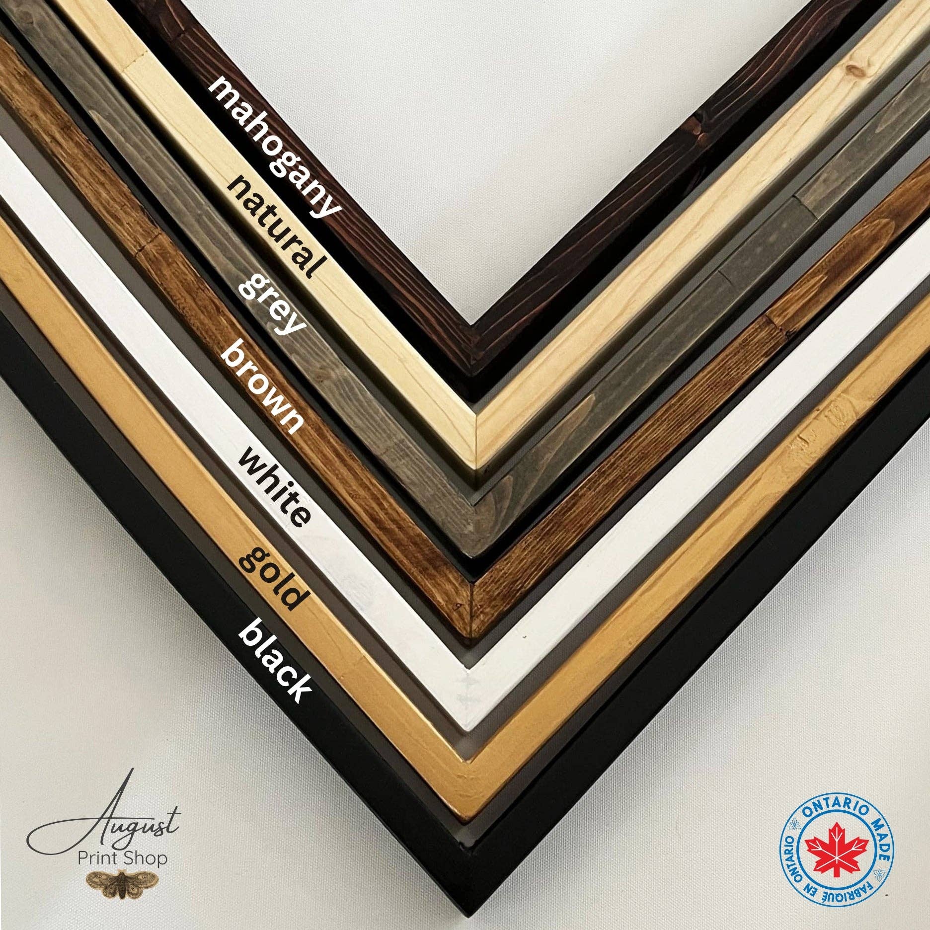 August Print Shop - Wholesale Art Print - Muskoka Moose Watercolour5