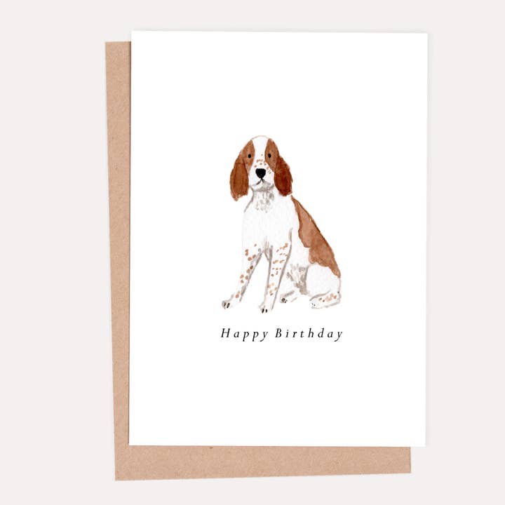 Springer Spaniel Birthday Card for wholesale by HeatherLucyJ Design