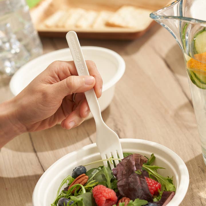 Häago - Wholesale Assorted cutlery set - 100 Biodegradable PLA Forks1