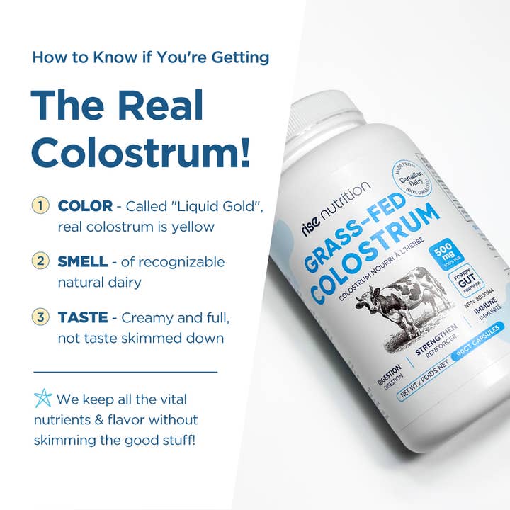 Poudre de Colostrum Nourri à l'Herbe - Intestin & Immunité - Récupération Musculaire pour la vente par Rise Nutrition