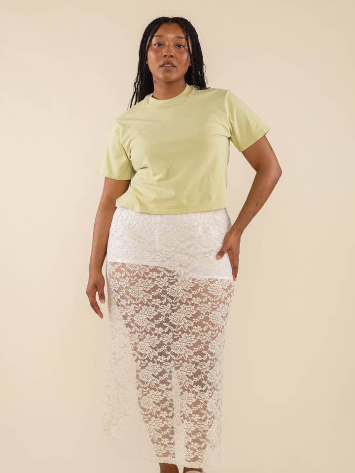 Saia Cole Sheer Lace por atacado de NLT