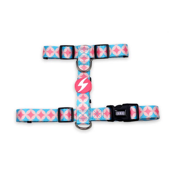 Koralrygsele for engroshandel hos DASHI