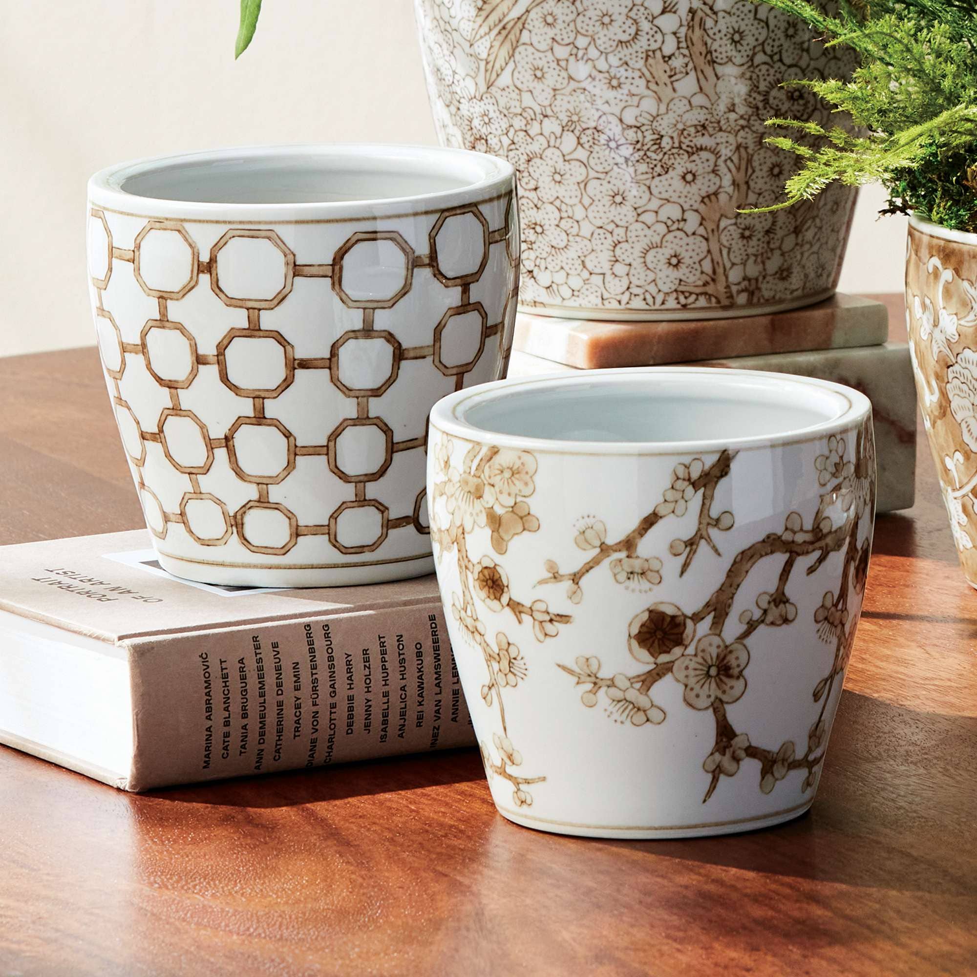 Napa Home & Garden - Wholesale Indoor Pot - Province Mini Flower Pots, Set of 6 - Brown & White Ceramic10