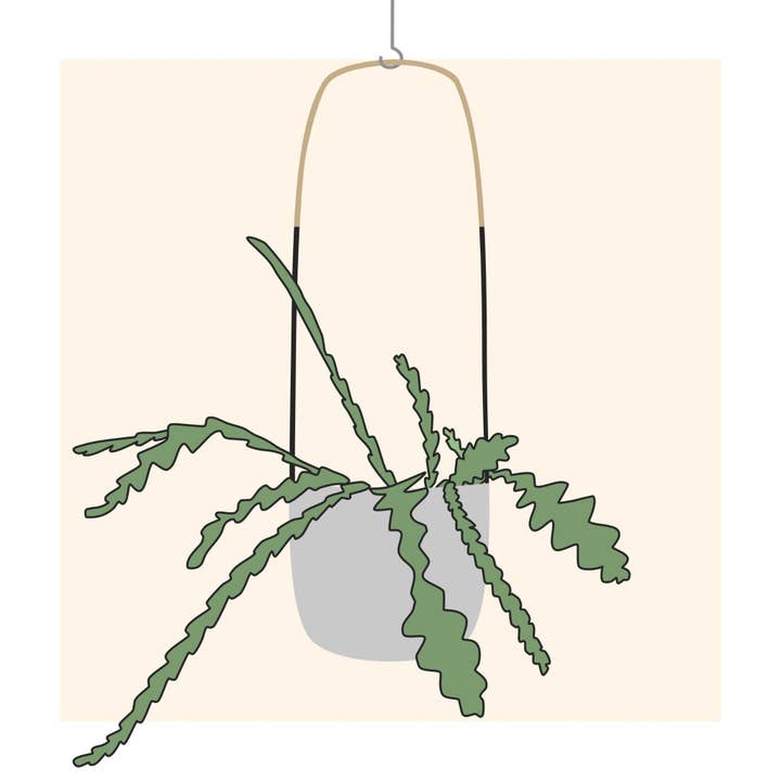 Zig Zag Cactus - 8"x8" art print for wholesale by Trellis & Tide