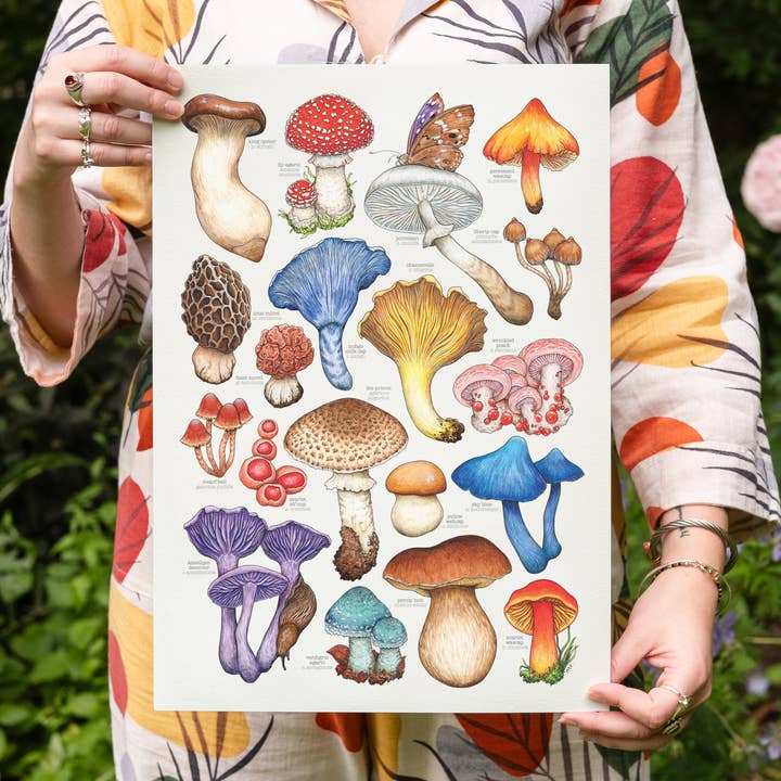 Impression d'espèces de champignons - Art fongique pour la vente par Drawn to Nature