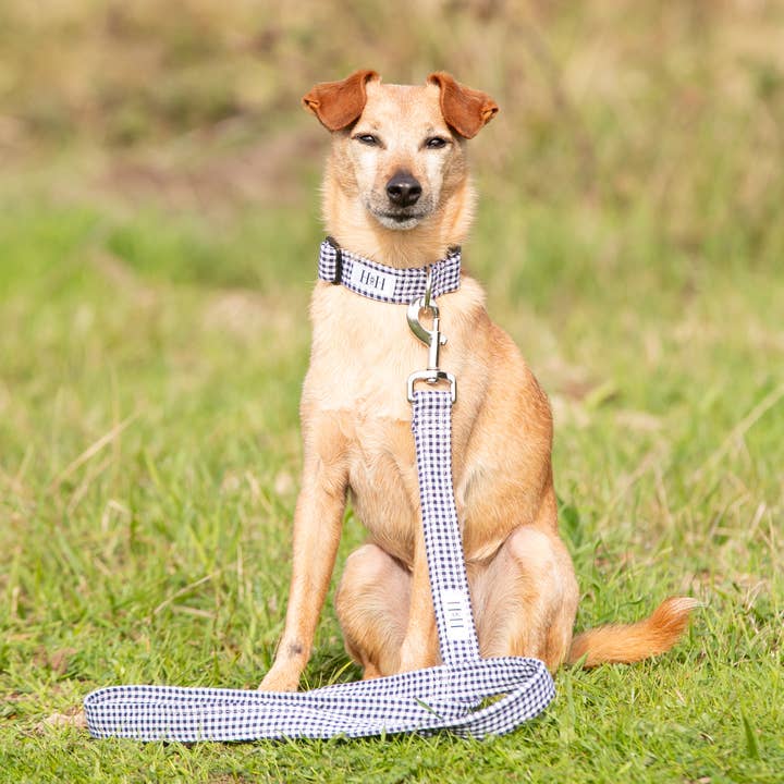 Correa para mascotas, color azul marino para venta al por mayor de Hetty and Huxley