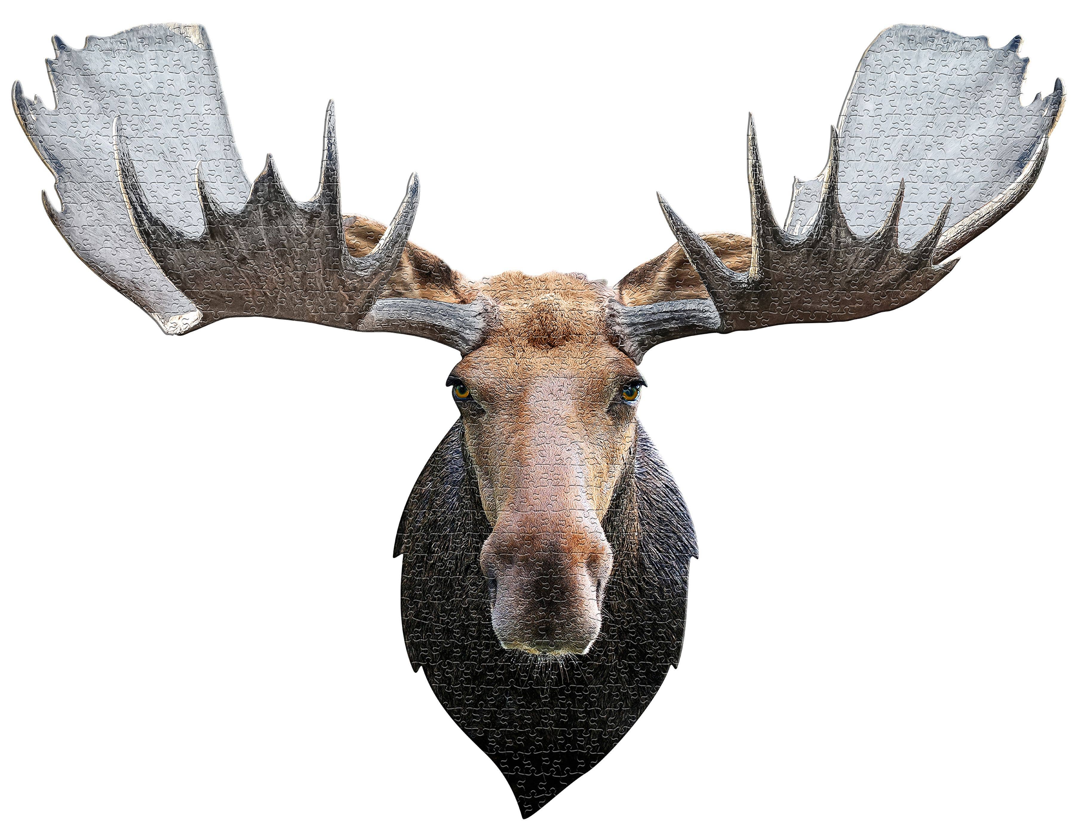 Madd Capp Games & Puzzles - Wholesale Puzzle - Adult - I AM Moose 700 piece jigsaw puzzle - gift5