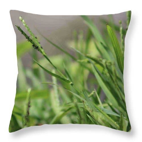 “LAKE'S SHORE” PILLOW for wholesale by sorayadapuzzostore