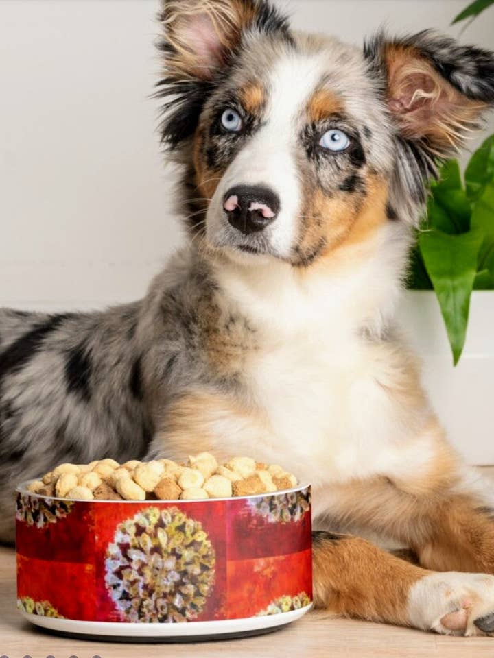 Bol pour chien « Diamond Brooch » pour la vente par Lady Barbara Pinson Artist