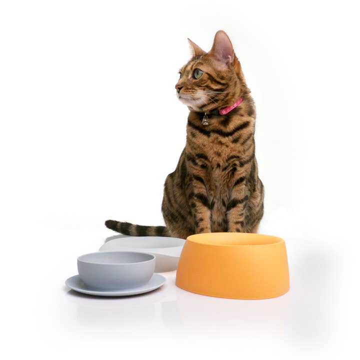 Sleepypod - Wholesale Pet bowl – Cat/dog - Yummy Travel Bowls13