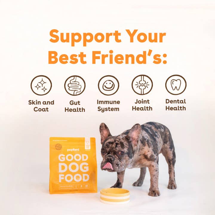 Pupford - Wholesale Pet Food - Dog - Freeze-Dried Raw Dog Food - Chicken Recipe3