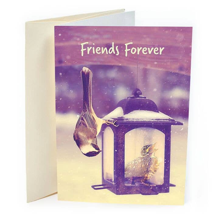 Amigos para siempre pájaro para venta al por mayor de St Thomas Greetings