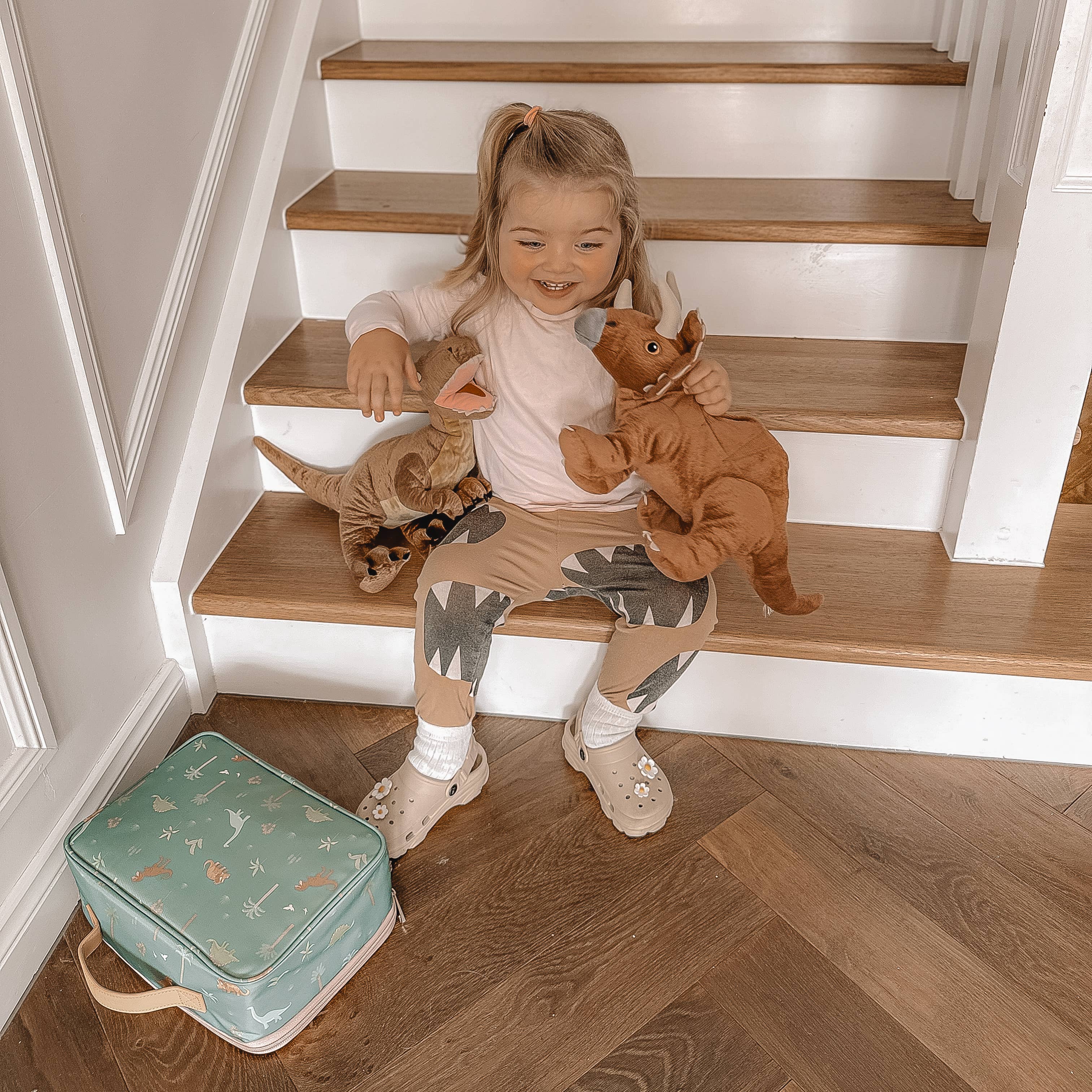 Fox & Fallow - Venta al por mayor Bolsa para almuerzo/fiambrera - Niños - Bolsa de Almuerzo Grande Dinos12