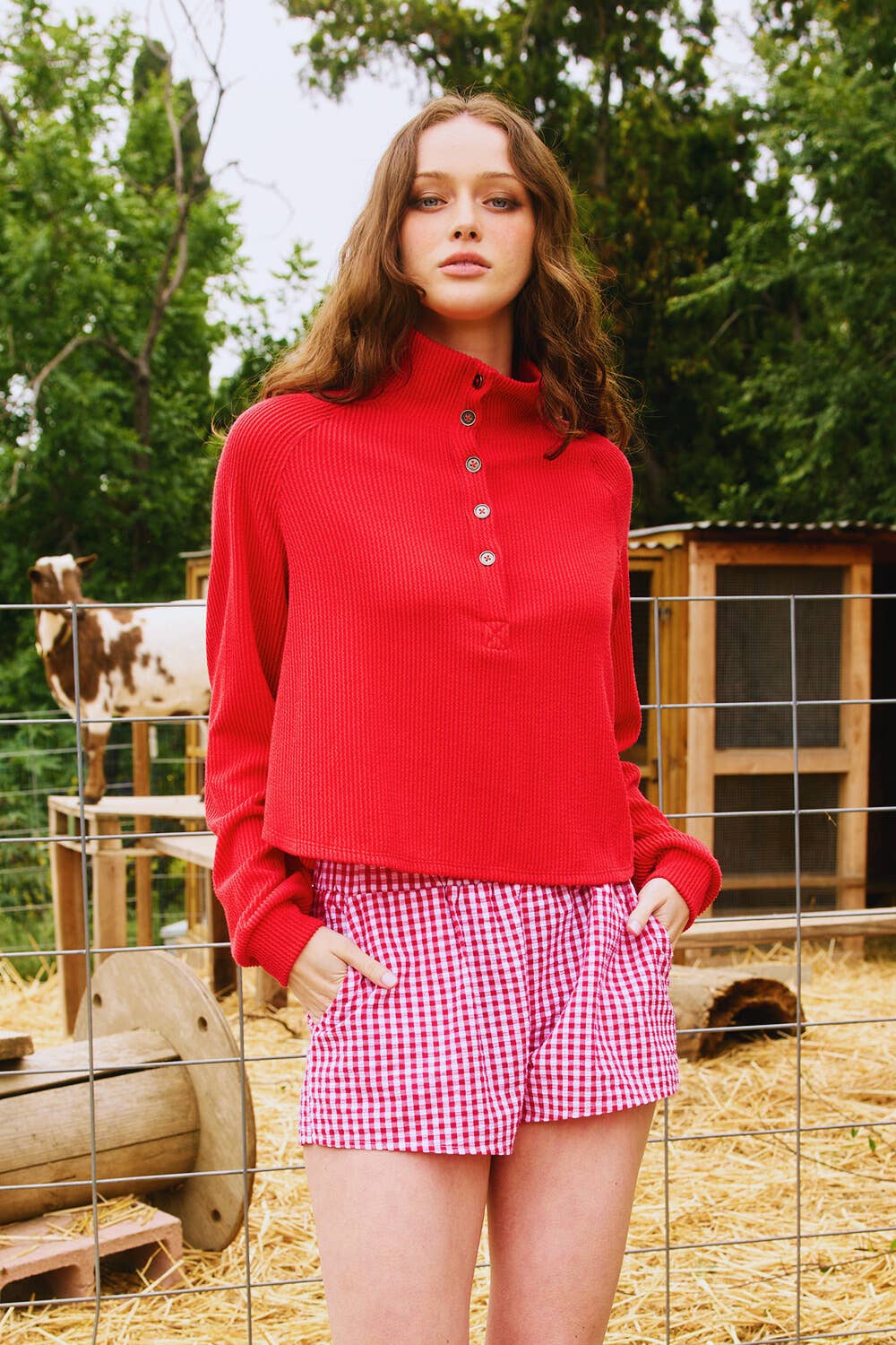 BUCKETLIST INC - Wholesale Knit Top - Women's - T2597 Textured Solid Button Closure High Neck Top1