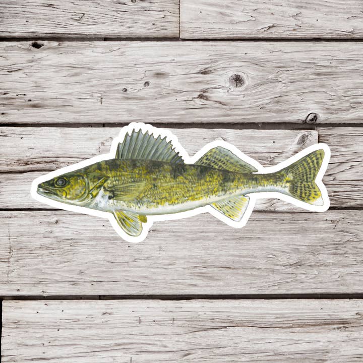 Walleye Sticker, Fish Sticker, Fishing Sticker for wholesale by NatureCuts