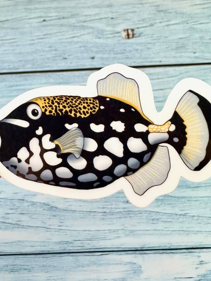 Autocollant en vinyle Clown Fish, joli autocollant en forme de poisson, aquarium pour la vente par Melanie Feltham Art