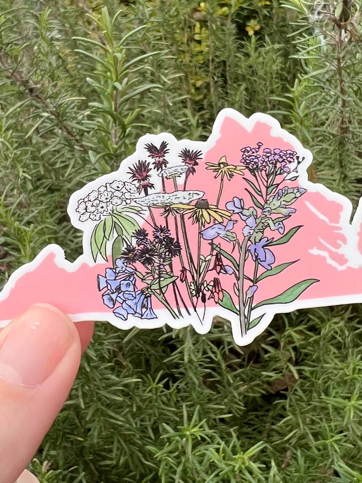 Virginia Wildflower Sticker for wholesale by Thirteenwinks