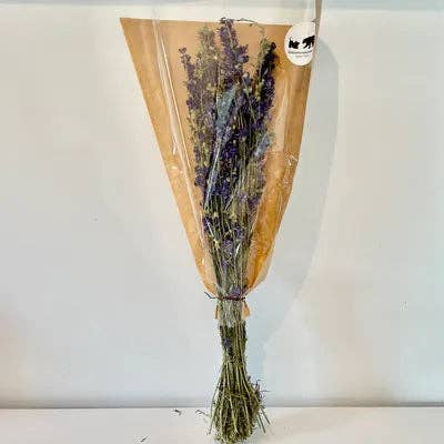 Chaton Et Monsieur Ours - Wholesale Dried/pressed flowers - DELPHINIUM BLEU Dried Flower Bundle1