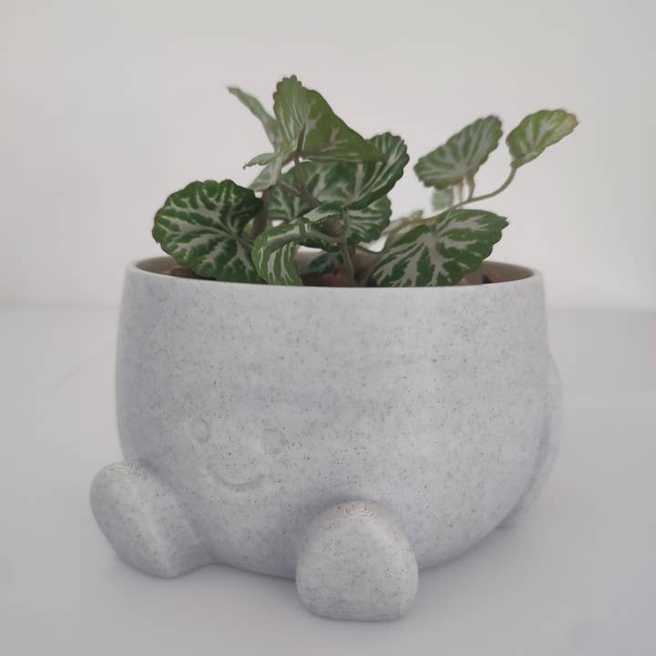 3DROOTS - Wholesale Plant Pot - Round flower pot with arms and cheerful face - Home & garden