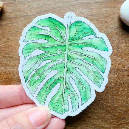 Monstera Plant Sticker 3 by 3 in for wholesale by Hannah Guthrie Designs