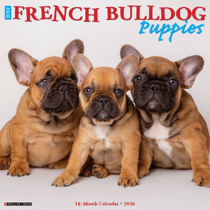French Bulldog Puppies 2026 Wall Calendar for wholesale by Willow Creek Press & Gifts