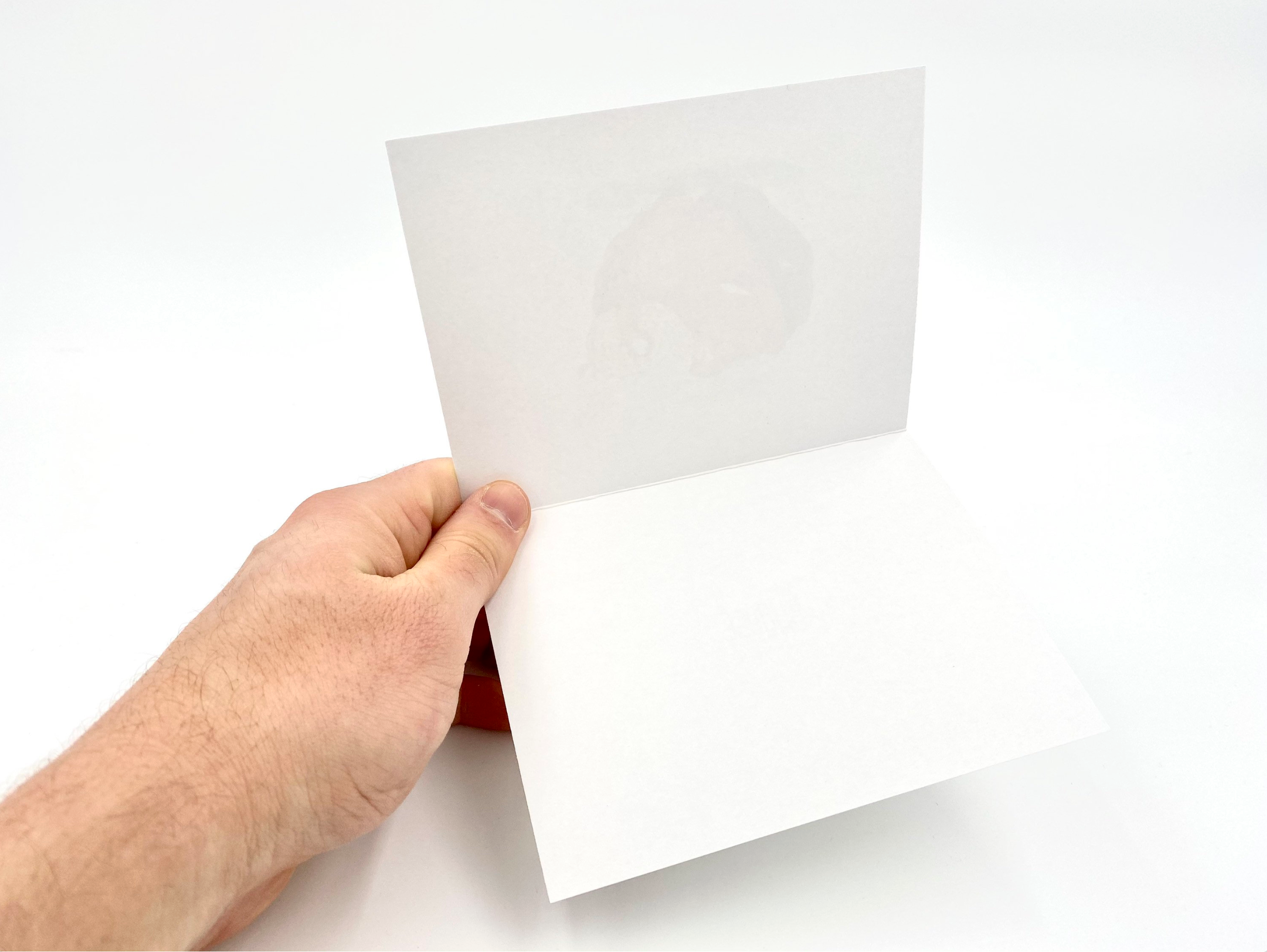 FortHouse Studios - Wholesale Season's Greetings Card - Bundle Up Moose Cards1