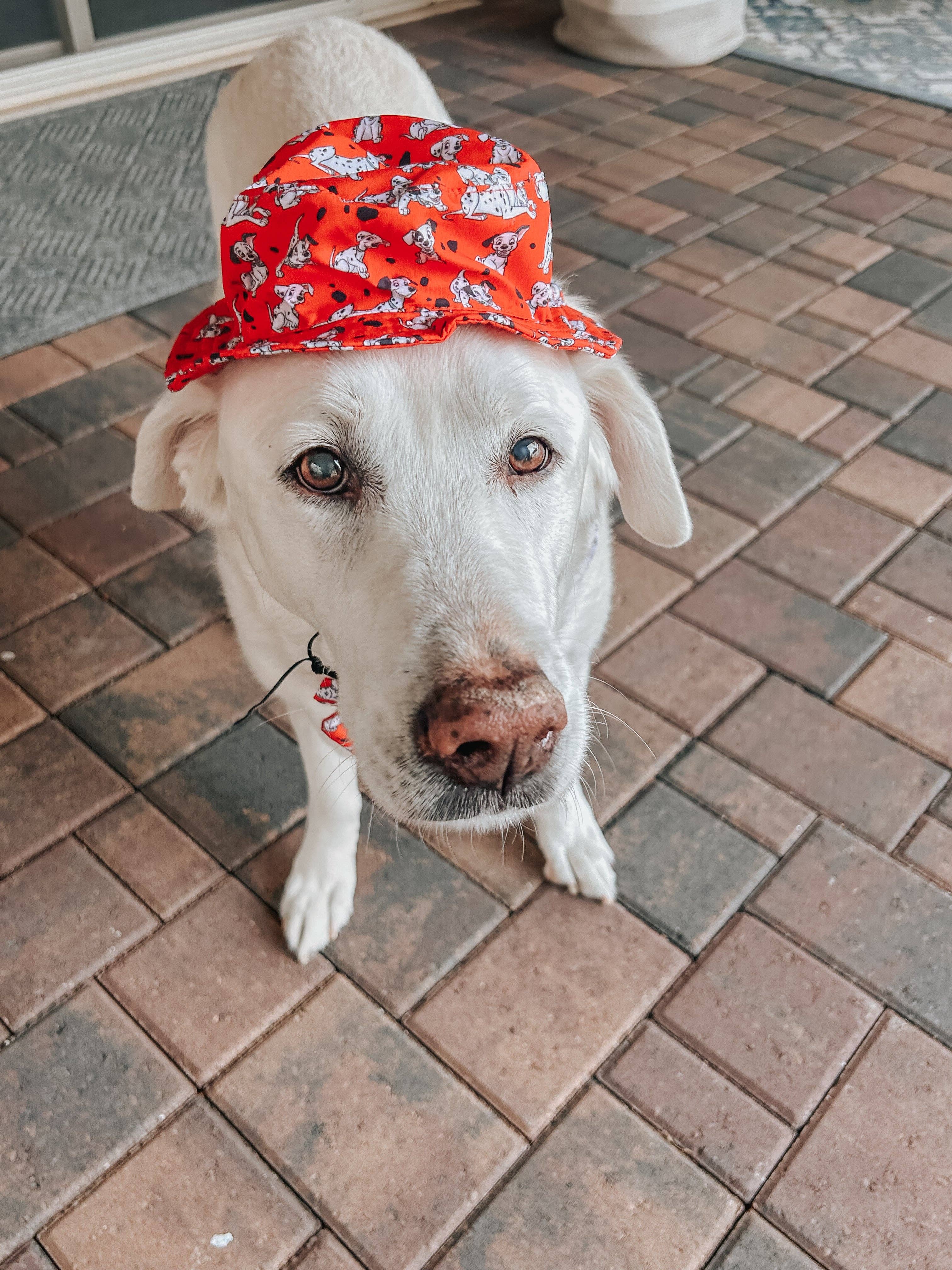 SASSY WOOF - Wholesale Pet Hat - Dog - Dog Bucket Hat - Disney's 101 Dalmatians6