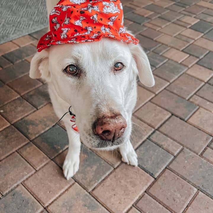 SASSY WOOF - Wholesale Pet Hat - Dog - Dog Bucket Hat - Disney's 101 Dalmatians6