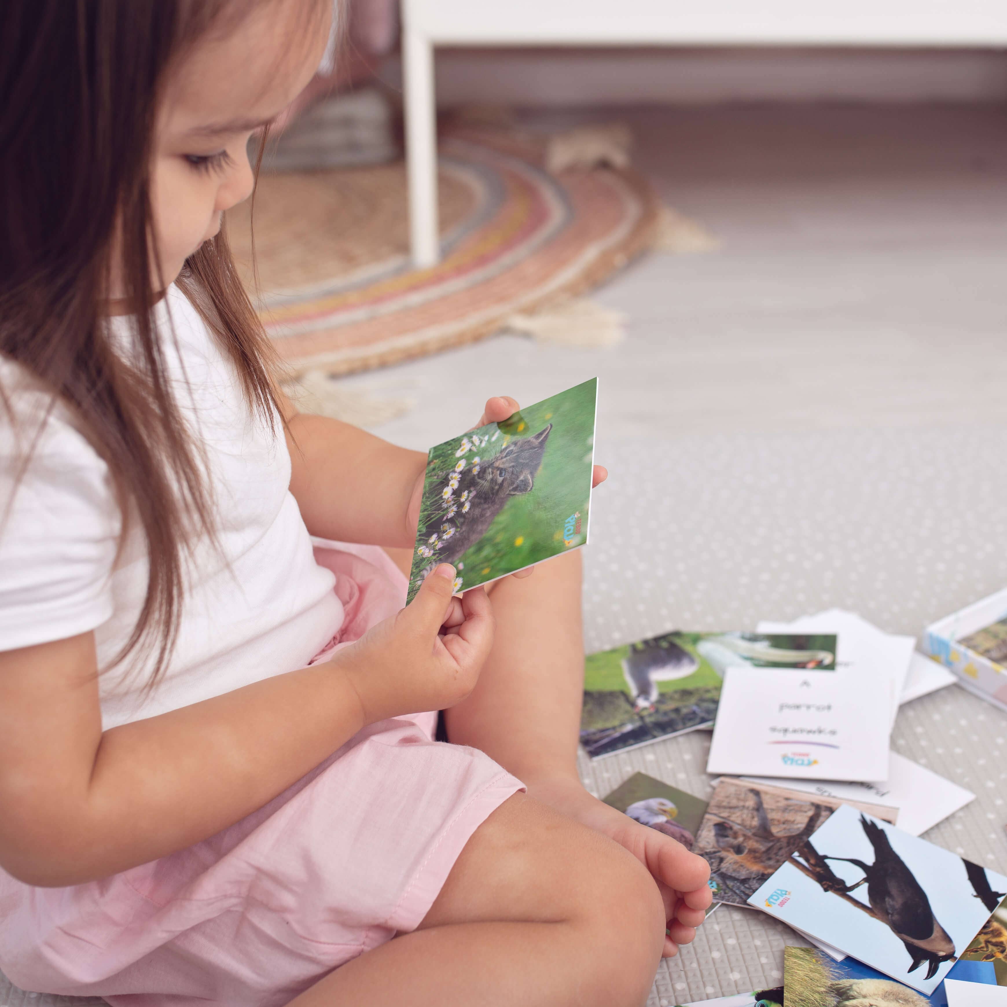 Teddo Play – Großhandel Lernkarten – Kind & Baby – Animal Sounds & Noises Pädagogische Geschenke für Kinder +Werbegeschenke10