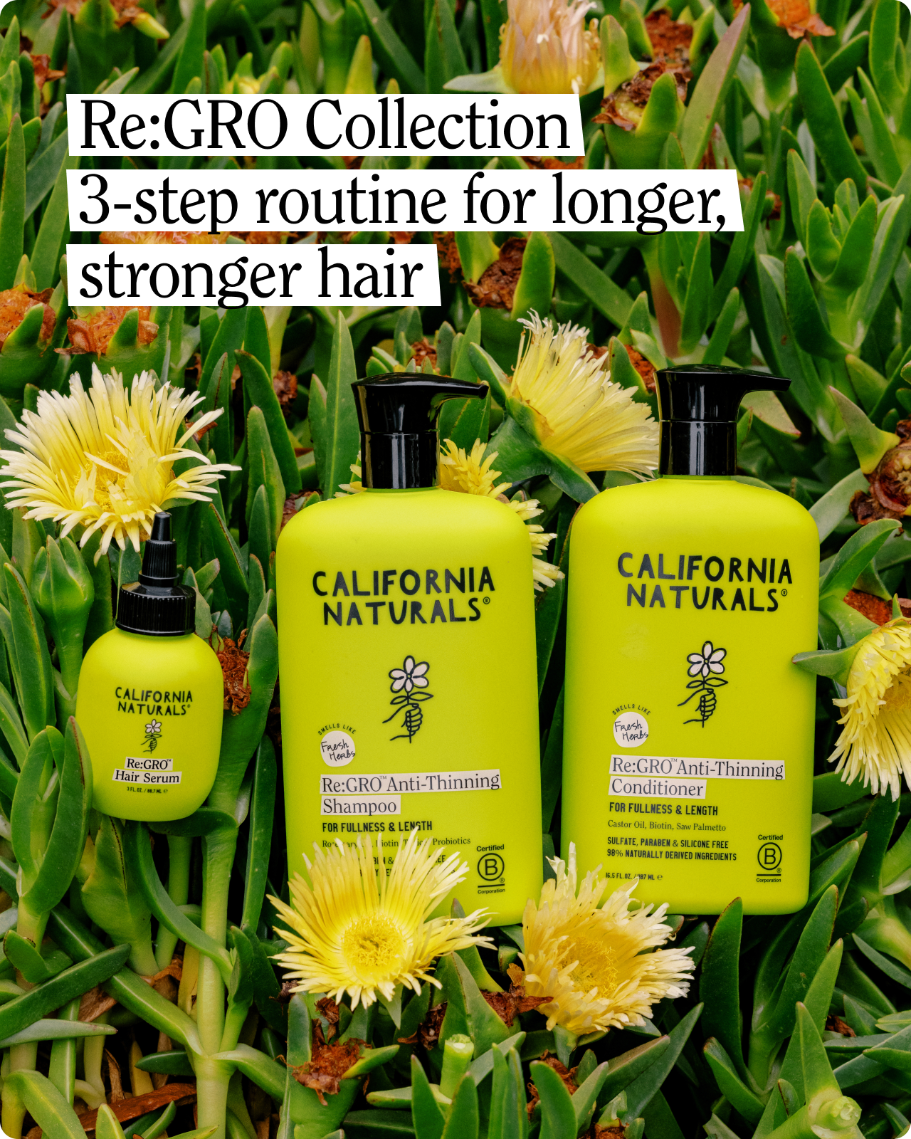 California Naturals - Wholesale Hair Serum - Re:GRO Hair Serum4
