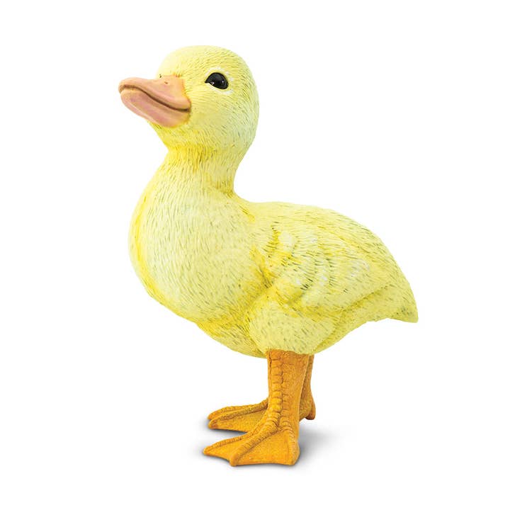 Safari Ltd. - Wholesale Decorative Figurine - Hand-Painted Duckling Decorative Figurine4