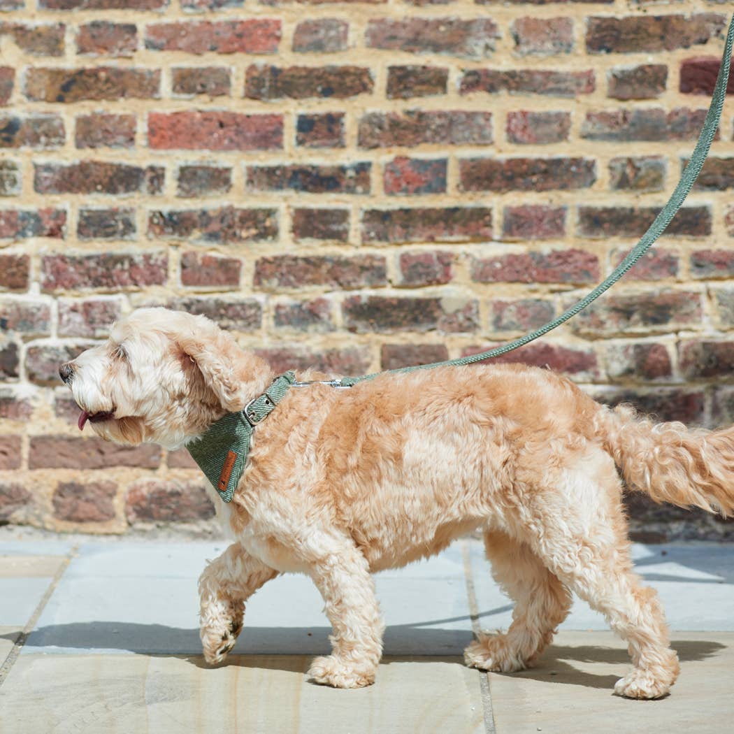 Sweet William Designs - Wholesale Pet Bandana - Dog - Bandana - Green Tweed2