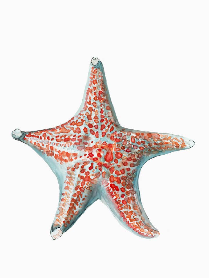 Leather Seastar Sticker/Starfish Art/Ocean Stickers for wholesale by Sarah Keller Art