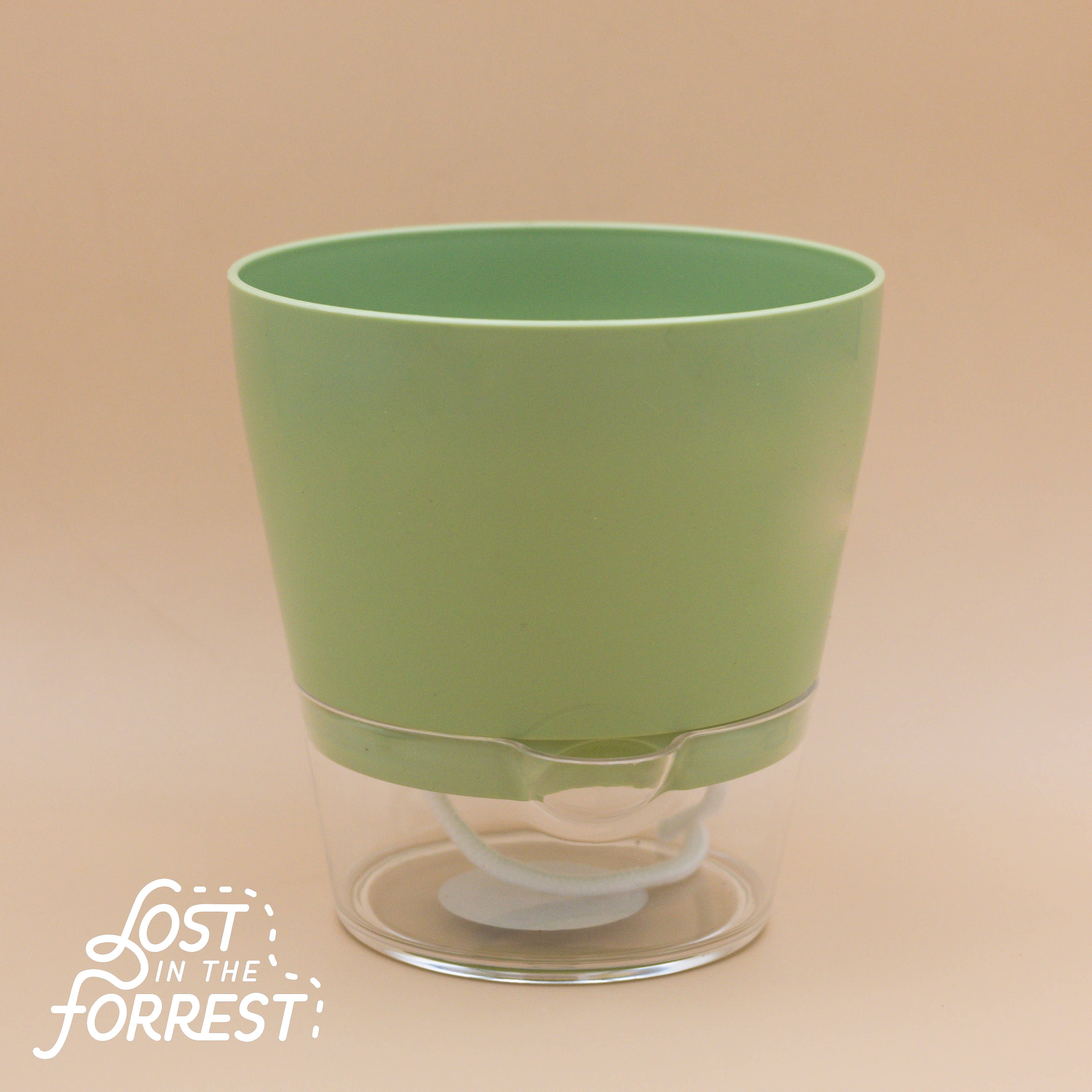 Lost in the Forrest - Vendita all'ingrosso Vasi per piante - Fioriera autoirrigante Padua 6"6