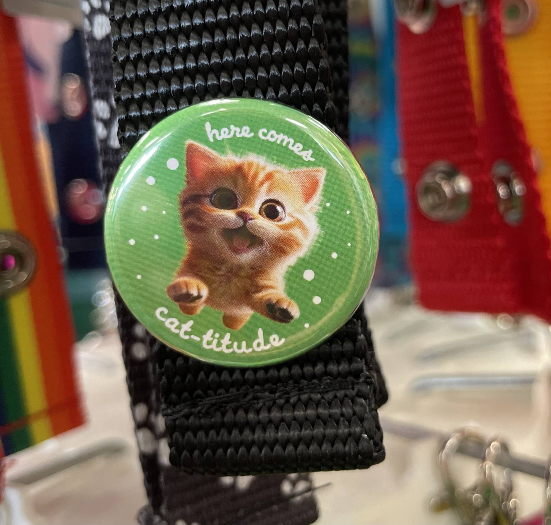 ChattySnaps - Wholesale Lapel Pin/Button - Here Comes Cat-titude1