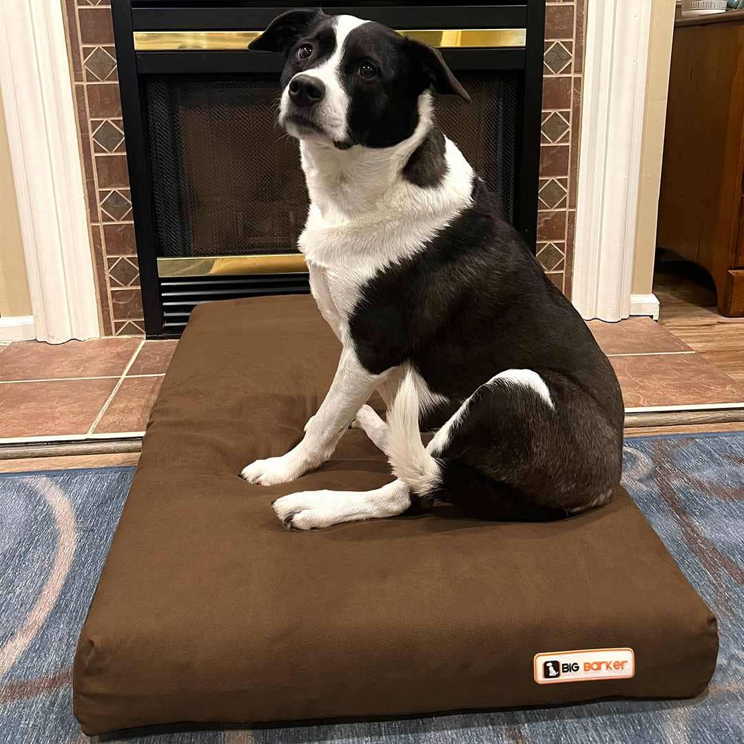 Barker Beds - Wholesale Pet Bed - Dog - 4" Orthopedic Crate Bed13