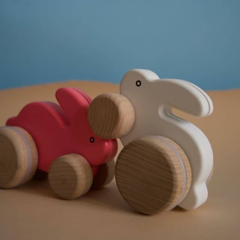 BAJO WOODEN TOYS - Wholesale Wood Toy - Kids - Wooden Small Rabbit (Jumping)7