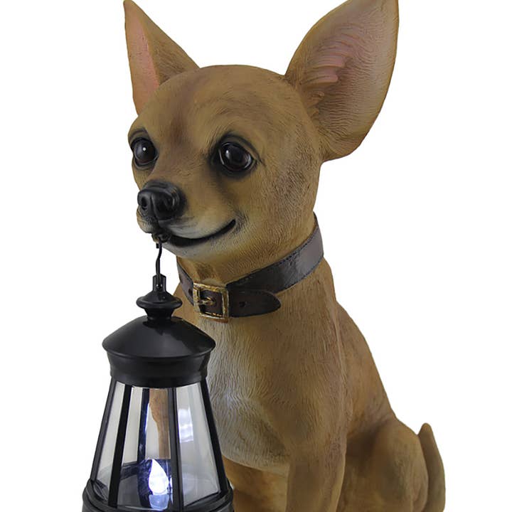 Little Light Keeper Chihuahua Statue and LED Lantern for wholesale by Zeckos