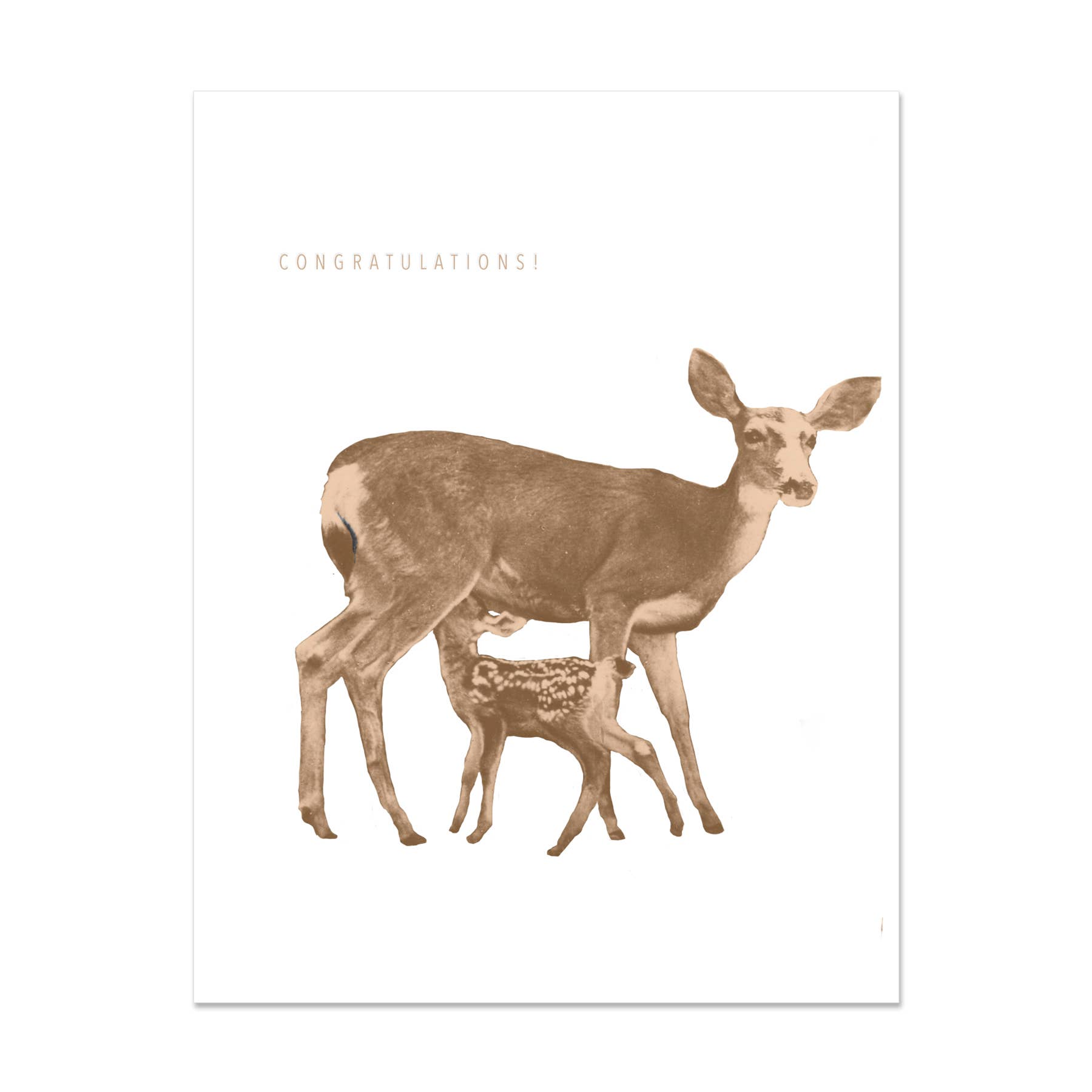 Embued Photophiles – wholesale Congratulations card – Doe Congratulations Card0