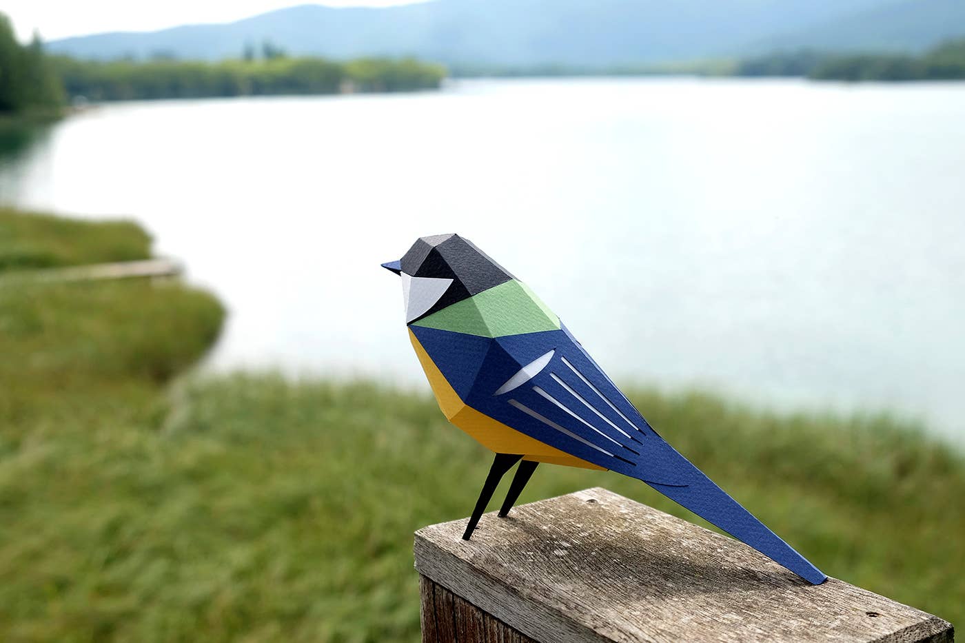 Today is Art Day - Wholesale DIY Craft Kit - Great Tit - Bird 3D Paper Figure by Plego3