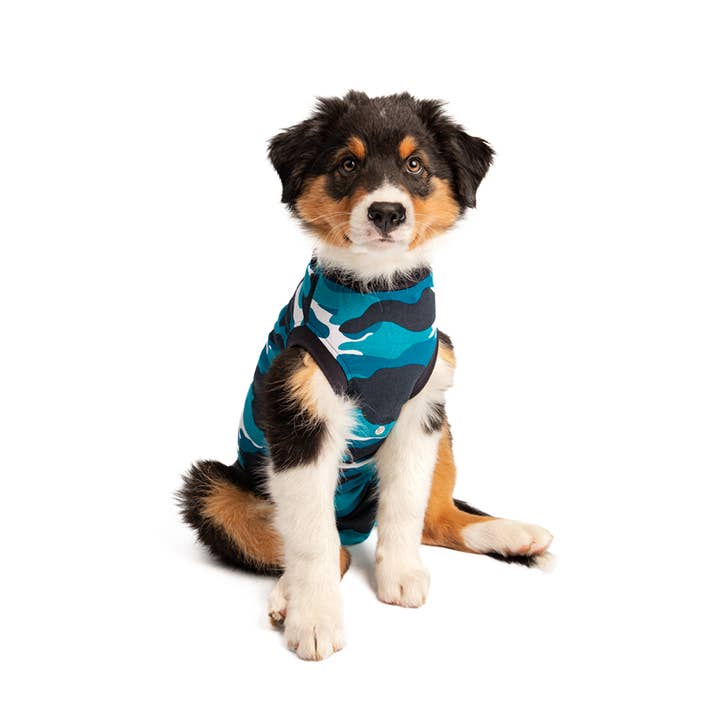 Suitical - Wholesale Pet Bodysuit - Cat/Dog - Recovery Suit - Dog