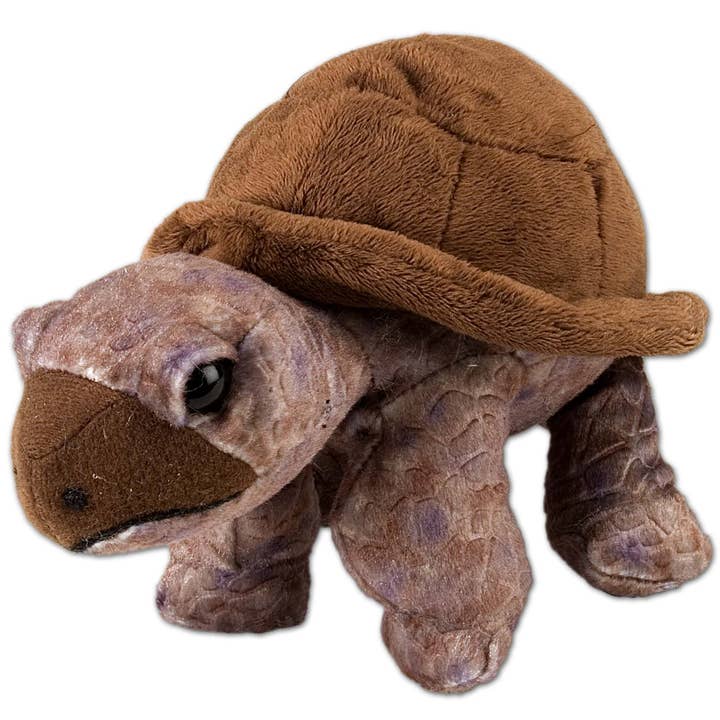 CK-Mini Tortoise Stuffed Animal 8" for wholesale by Wild Republic